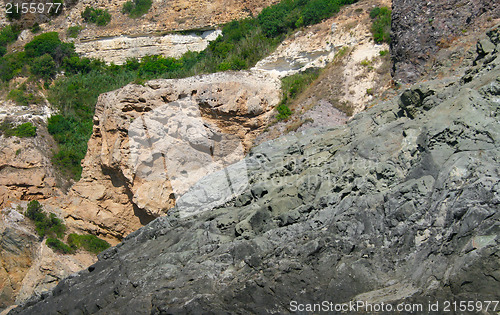 Image of Mountain wall covered with trees, moss and rocks