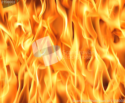 Image of Fire flames background. High resolution image.