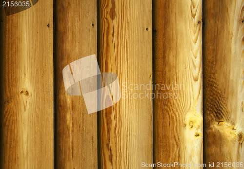 Image of Wood texture