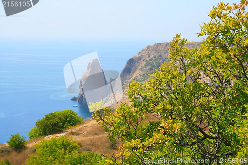Image of Rocks near the sea