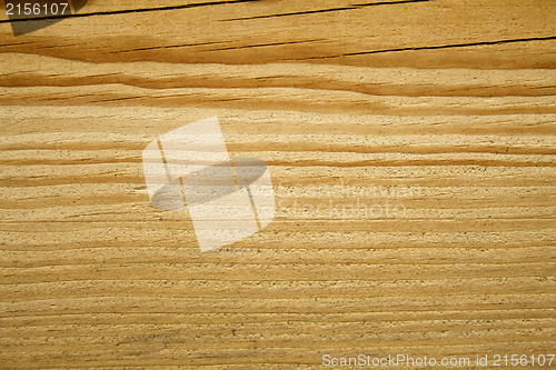 Image of Macro view of the wood texture