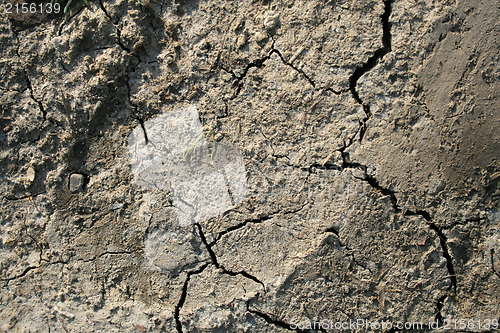 Image of Rock texture