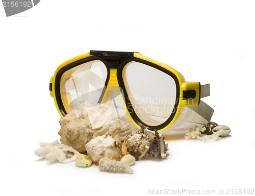 Image of Yellow diving mask with sea shells