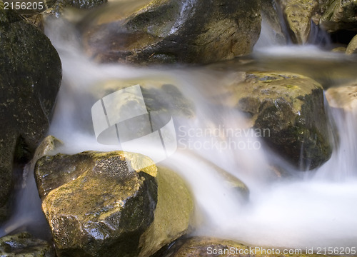 Image of Water stream falling on a rock.Long exposure is used.