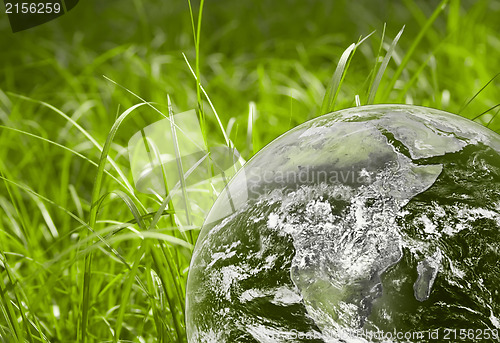 Image of Green grass and earth image