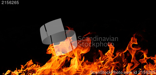 Image of Fire flames isolated