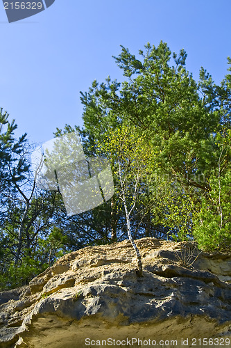 Image of Mountain wall covered with trees, moss and rocks