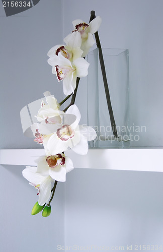 Image of Flowers in a glass vase