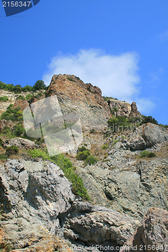 Image of Mountain wall covered with trees, moss and rocks