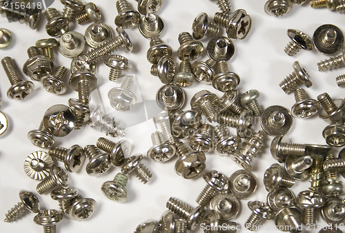 Image of Screws isolated