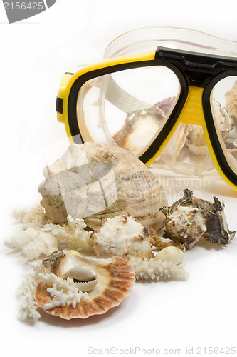 Image of Yellow diving mask with sea shells