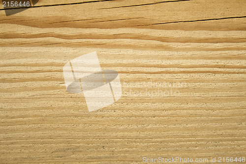 Image of Wood texture