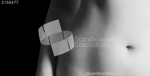 Image of Sexy woman stomach