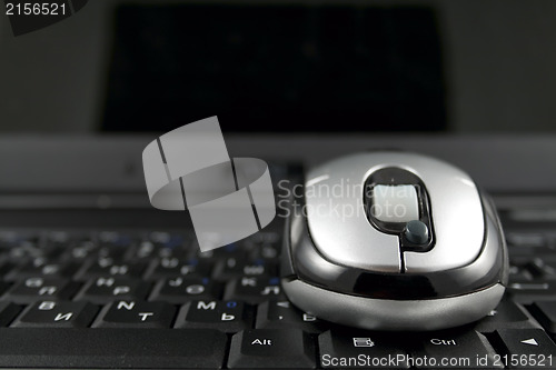 Image of Mouse on a laptop keyboard