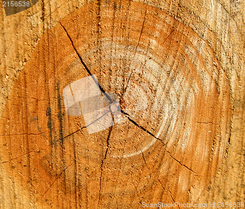 Image of Wood texture