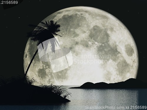 Image of 3d moon island with palm