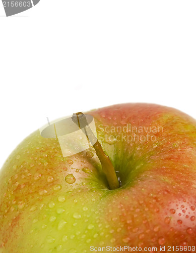 Image of Fresh ripe apple with drops of water
