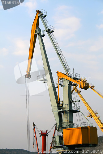 Image of Sea crane