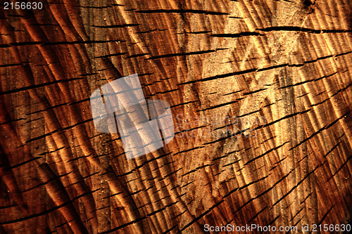 Image of Old wood texture