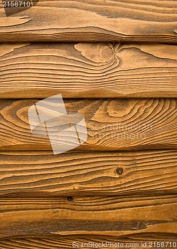 Image of Oak texture