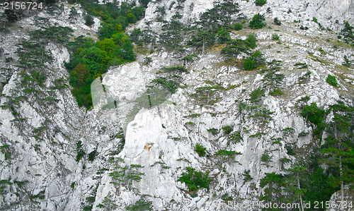 Image of Mountain wall covered with trees, moss and rocks