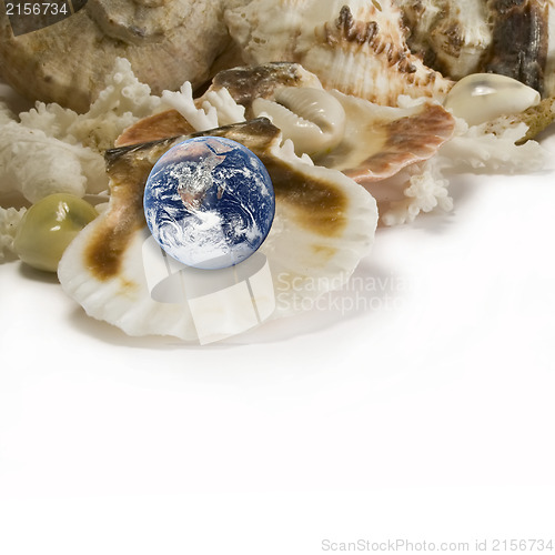 Image of Sea shells and earth like a pearl