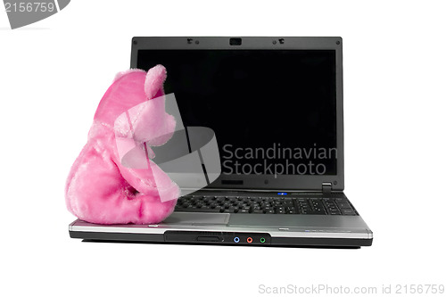 Image of Pink bear toy on a laptop. Isolated white background and empty d