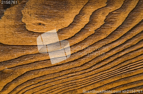 Image of Wood macro texture