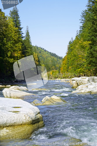 Image of River in the forest