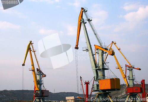 Image of Sea crane