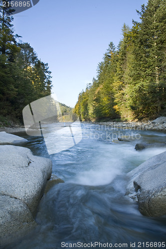 Image of River in the forest