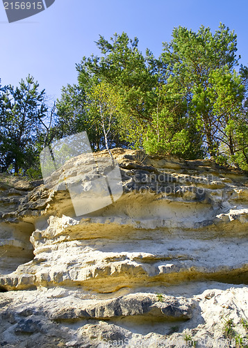 Image of Mountain wall covered with trees, moss and rocks