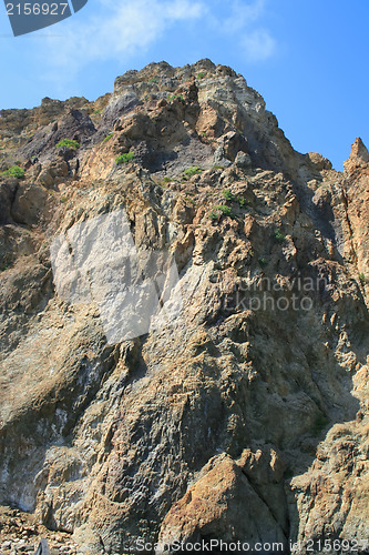 Image of Mountain wall covered with trees, moss and rocks