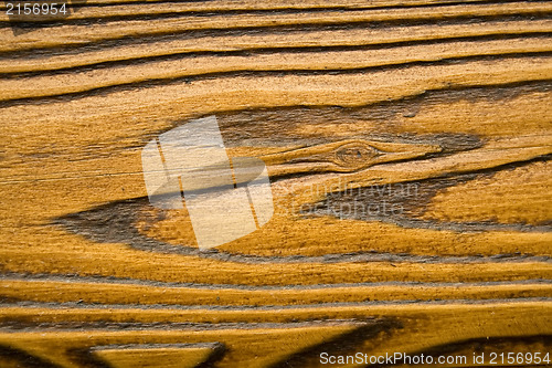 Image of Wood macro texture