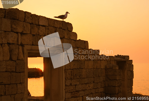 Image of Ancient ruins during sunset