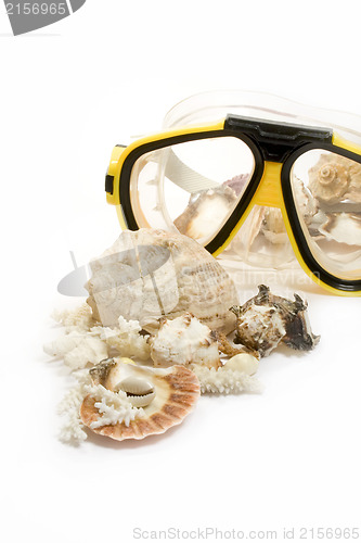 Image of Yellow diving mask with sea shells