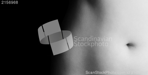 Image of Sexy woman stomach