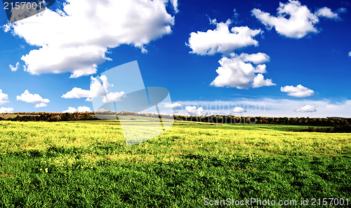 Image of Green grass and blue sky with white clouds