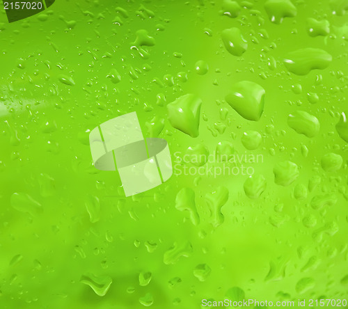 Image of Abstract green drops of water