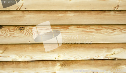 Image of Wood texture