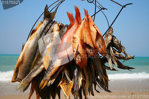 Image of Fish with sea on background