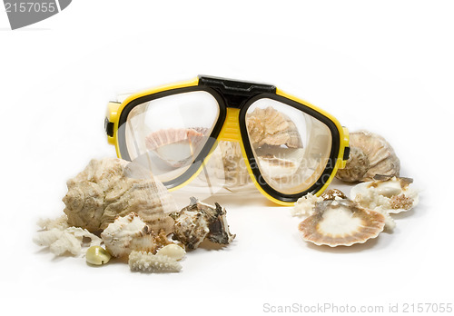 Image of Yellow diving mask with sea shells