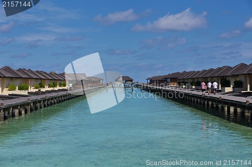 Image of tropical beach