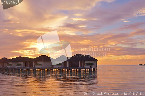 Image of tropical beach