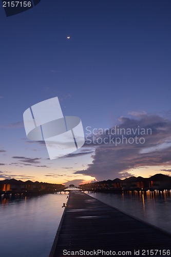 Image of tropical beach