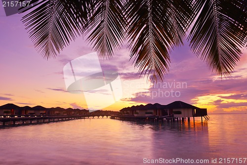 Image of tropical beach