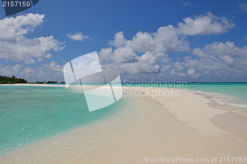 Image of tropical beach