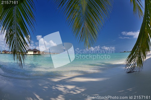 Image of tropical beach