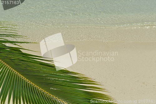 Image of tropical beach