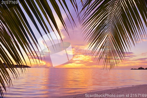 Image of tropical beach